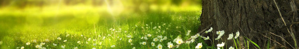 Printemps