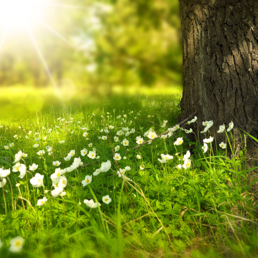 Printemps